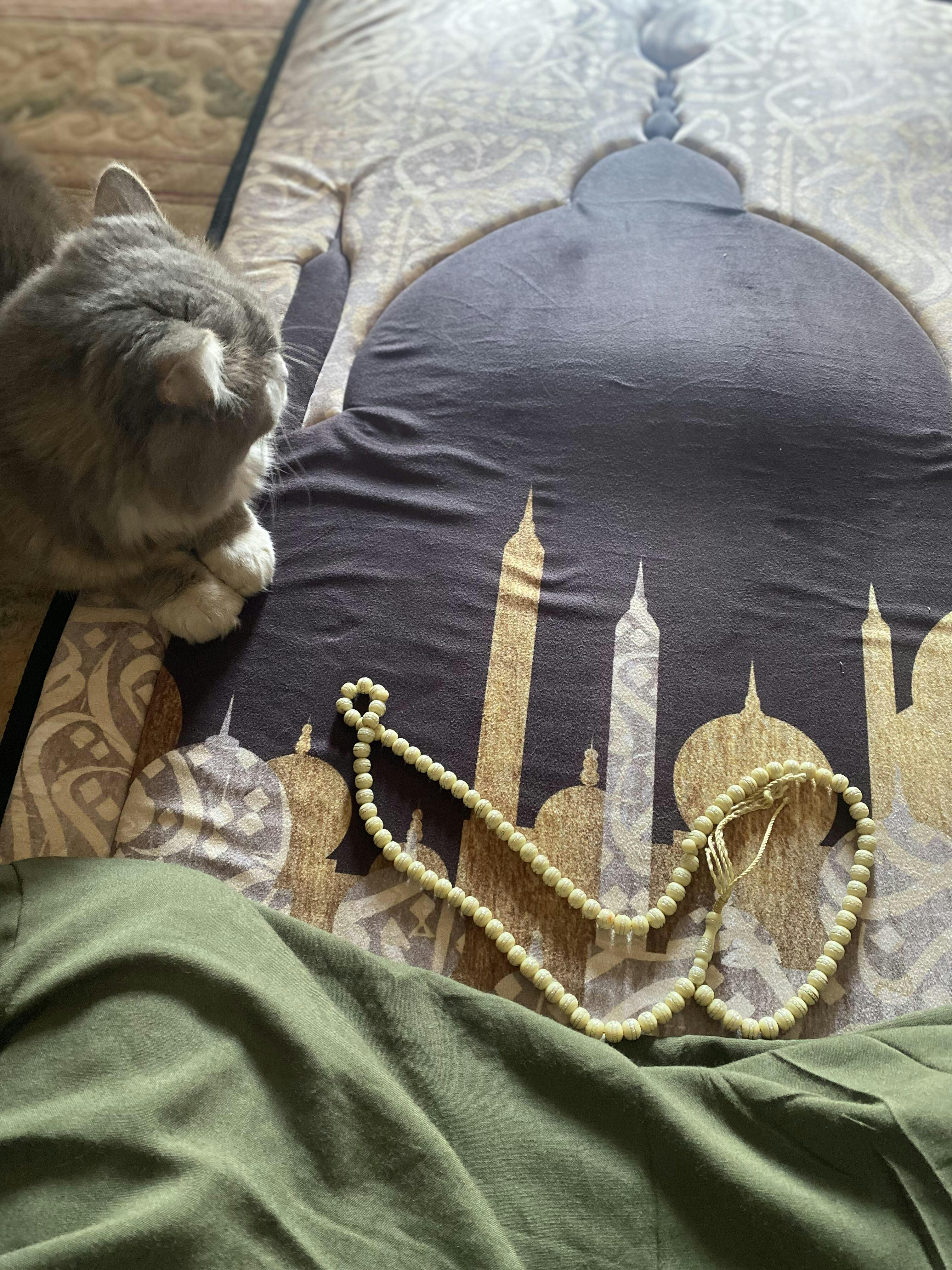 مصلية مبطنة مانعة للانزلاق كبيرة - الصورة 6