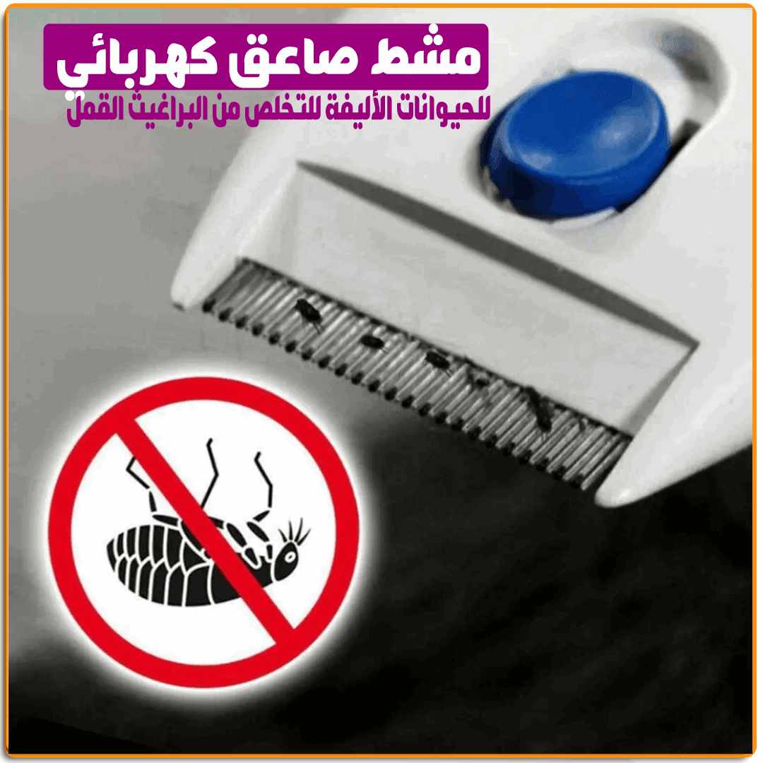 مشط صعق الحشرات للحيوانات الاليفة - الصورة 4